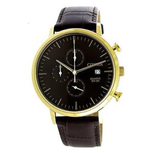 CITIZEN AN3612-09X Watch