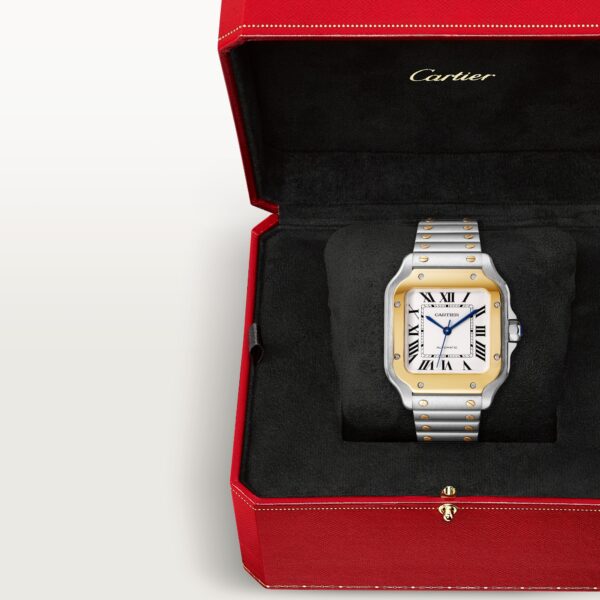 Cartier santos Two tone watch